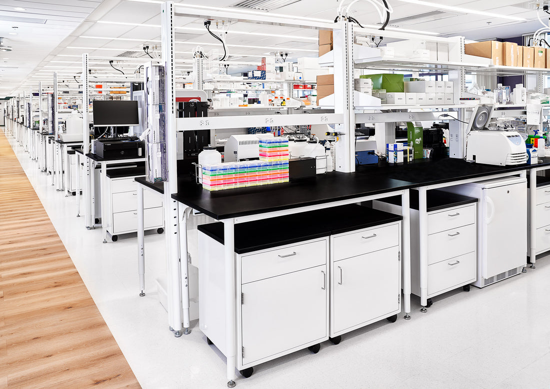 Hamilton Lab